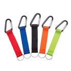 Carabiner With Key Chain Lanyard