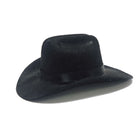 Mini Pet Cowboy Hat