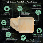 10'' Square Palm Leaf Plates