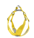 Pet Chest Harness