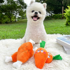 Pet Plush Toy