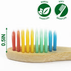 Eco-Friendly Bamboo Toothbrushes, 10-Pack, Soft Bristles