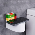 ToiletShape Wall Ashtray