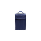 Custom PEVA Eco-Friendly Insulated Lunch Bag