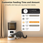 200oz Automatic Cat and Dog Feeder with Camera