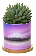 Custom Plastic Planter