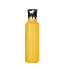 20oz Stainless Steel Water Bottle