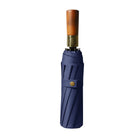 Automatic Folding Umbrella With 10 Ribs
