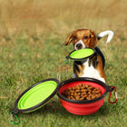 All-in-One Multi-Functional Dog Training & Walking Waist Pack with Built-In Collapsible Bowl
