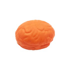 Medical Brain Model & Organ Stress Relief Toy