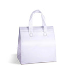 Non-woven Insulated Bag