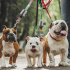 Dog Poop Bag Holder Velcro Leash Dispenser With Roll