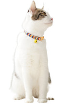 Braided Pet Collar