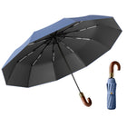 Automatic Folding Umbrella With 10 Ribs