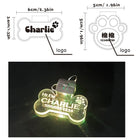Acrylic Led Dog Leash Collar