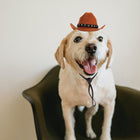Pet Cowboy Hat