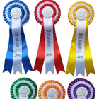 Award Ribbon Medals With Badge For Recognition