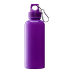20 Oz. Ps Water Bottle W/ Carabiner