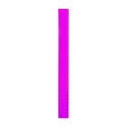 30cm Colored Transparent Plastic Ruler