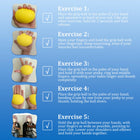 Grip Exercise Ball