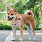 Pet Diamond Shaped Chest Harness