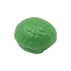 Medical Brain Model & Organ Stress Relief Toy