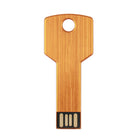 Metal Key Shaped Memory Stick USB Disk