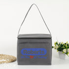 420D Heavy Duty Cooler Bag