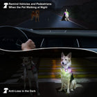 LED Light Up Pet Collar For Safety Dog Collar
