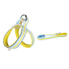 Dog Harness With Leash