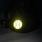 PVC Reflective Round Pendant