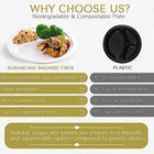 9" Three Compartment Bagasse Fiber Disposable Plates
