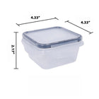 Transparent Fresh Lunch Box