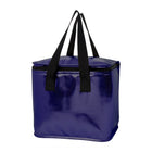 Major Metallic Cooler Bag