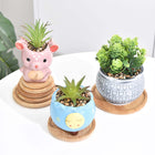 Bamboo Coaster