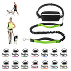 Nylon Waist Dog Leash
