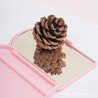 2-In-1 Ice Cream Handheld Mirror With Comb