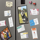 Business Card Magnets