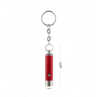 UV Money Detecting Light Mini Led Keychain