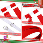 Flag Football Belts