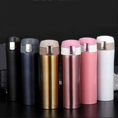 Stainless Steel Vacuum Bottle