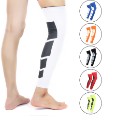 Sport Knee Guard